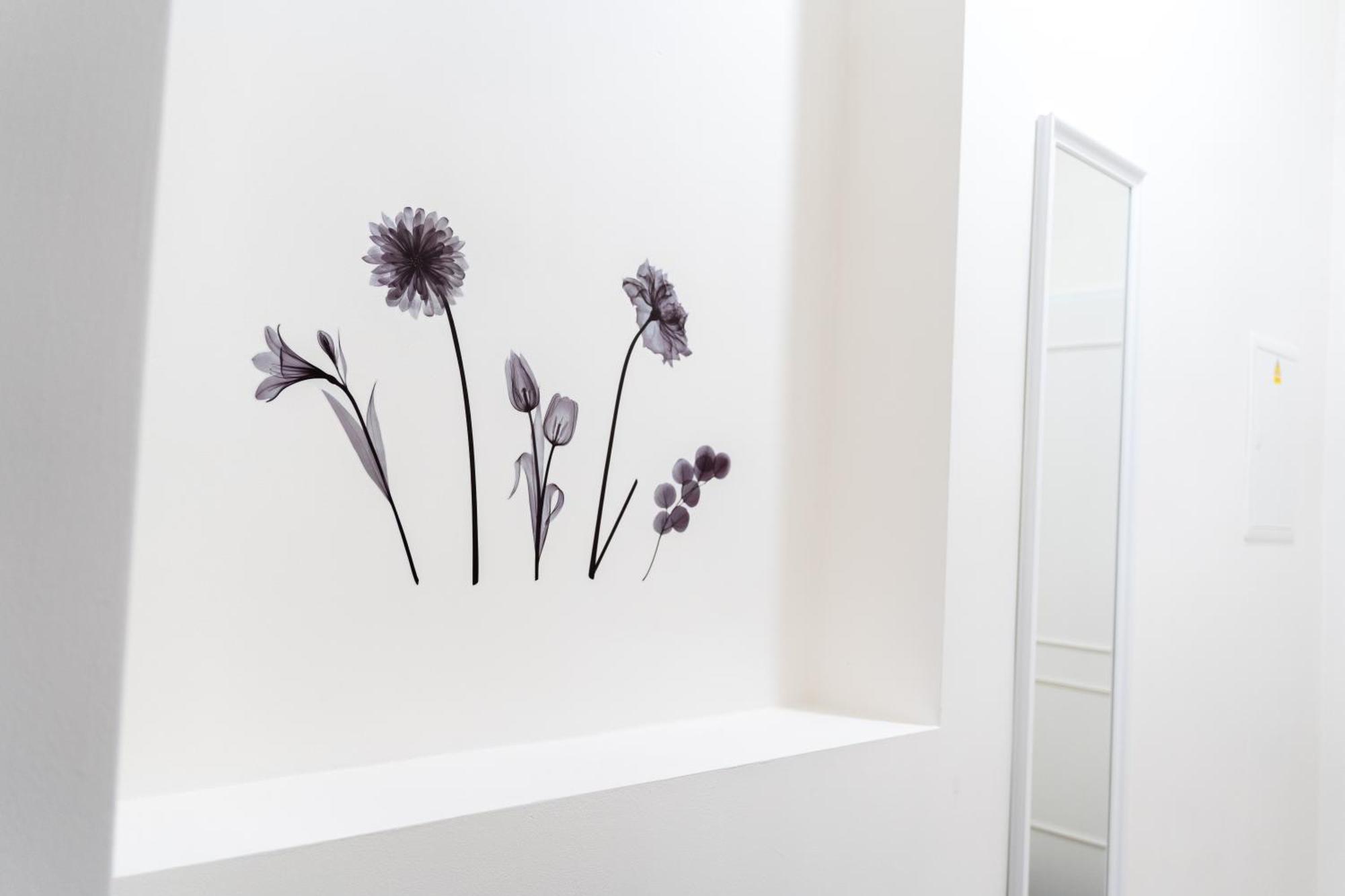 Beautiful In The Center Of 1 Apartment *